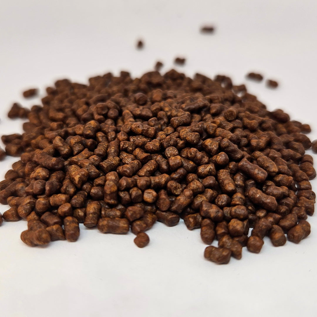 HB-0001_2