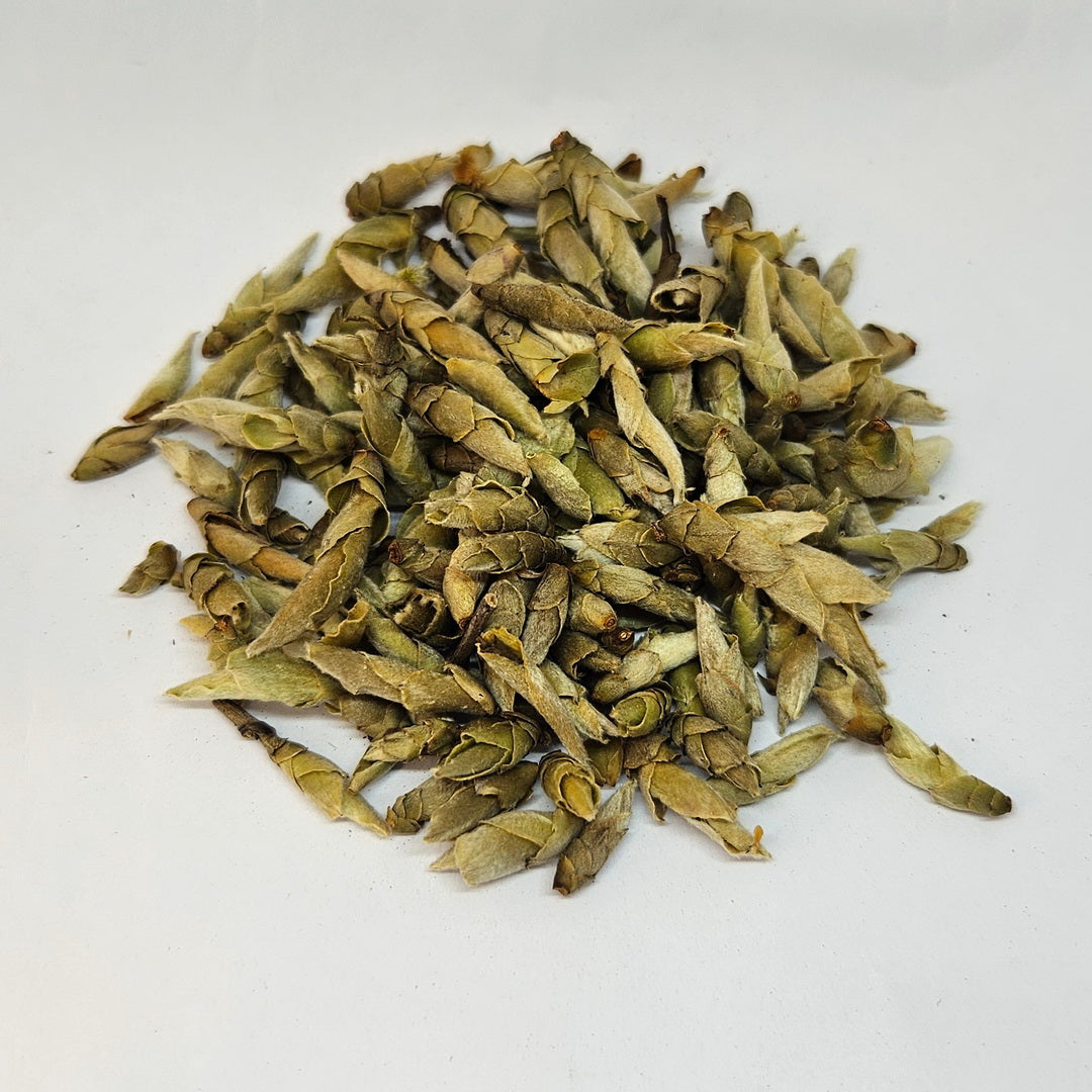 WT-0007_1