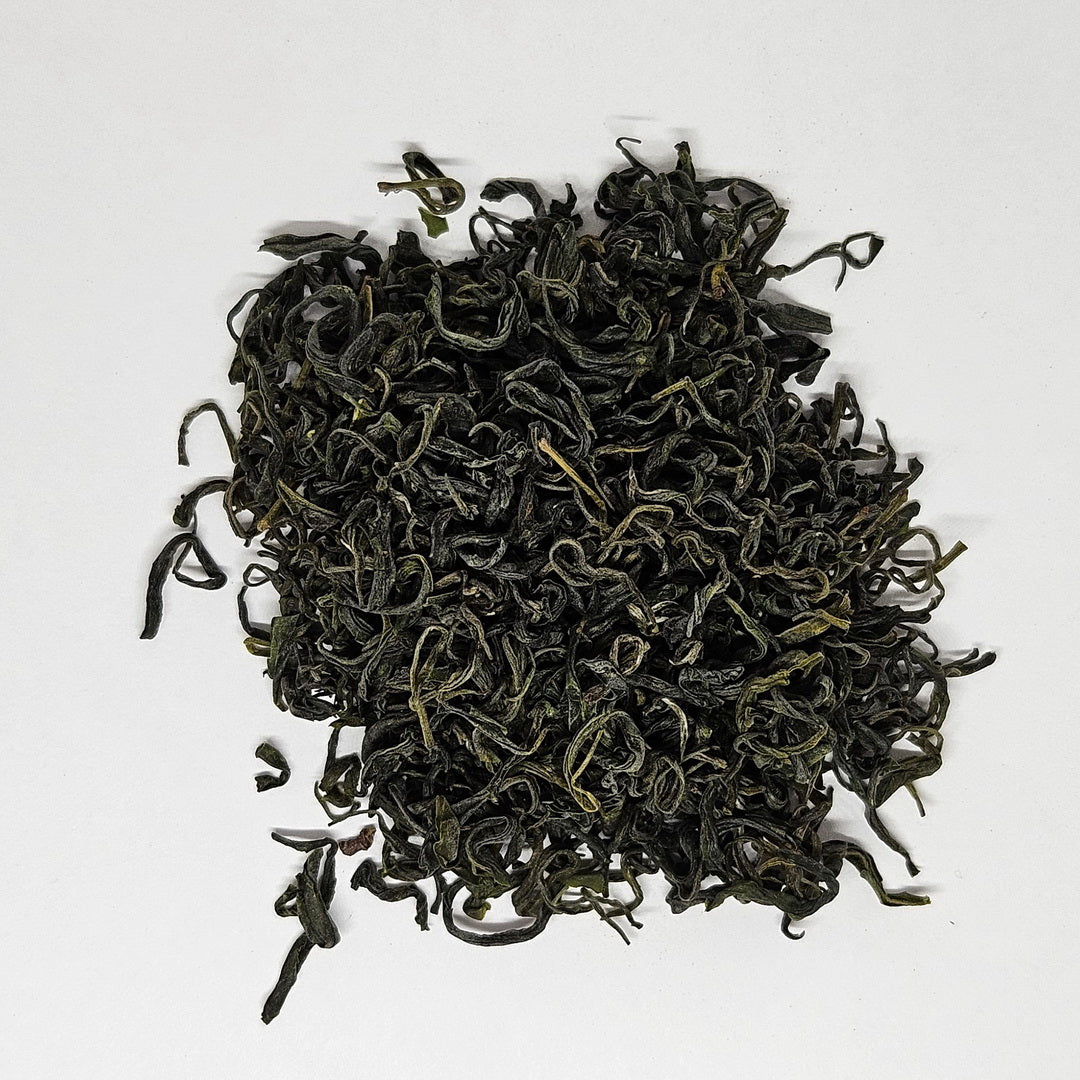 GT-0013_2