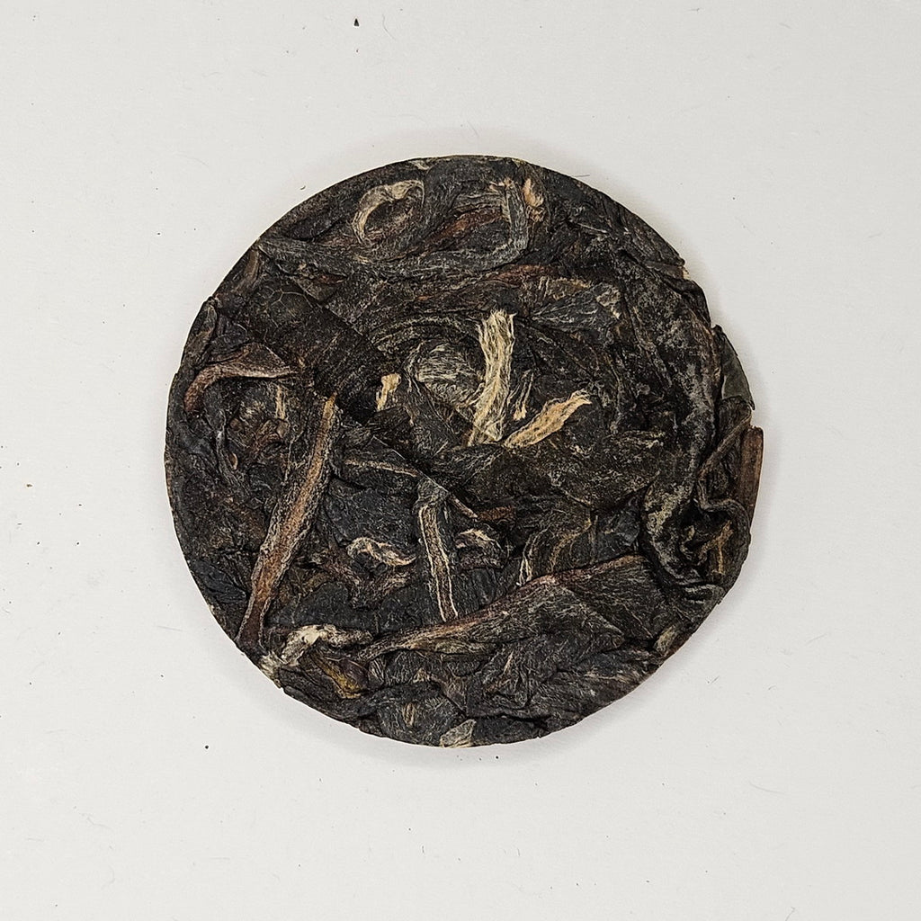 SP-0005_2