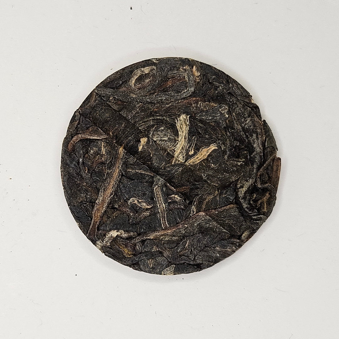 SP-0005_2