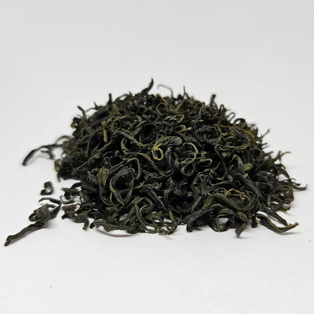 GT-0013_1
