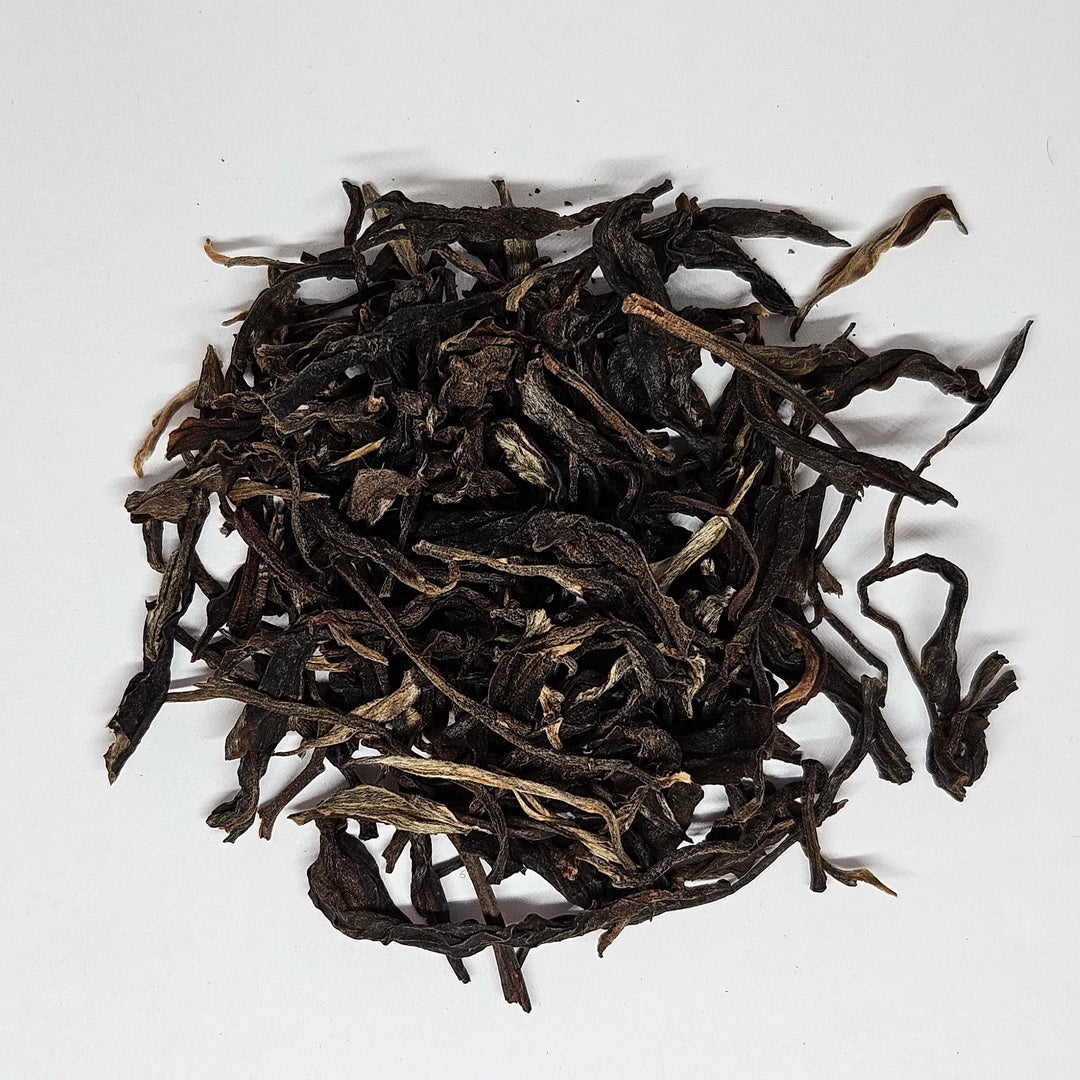 SP-0011_2