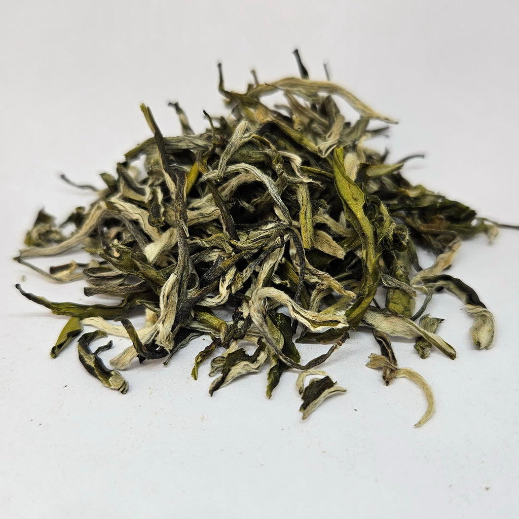 GT-0008_2