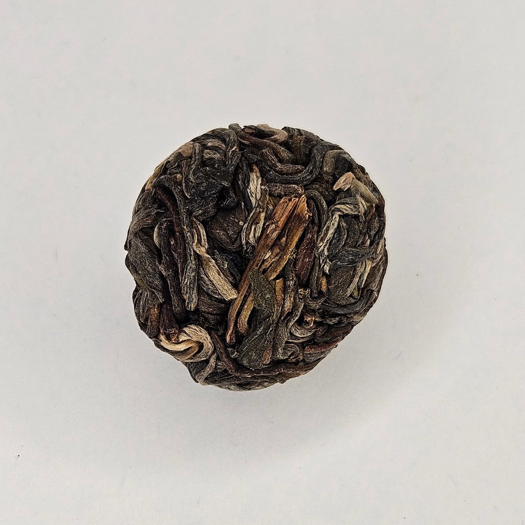 SP-0003_4