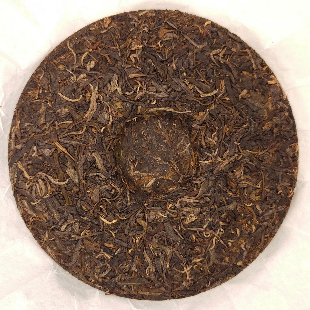 SP-0007_3