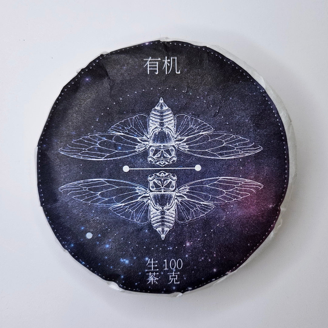 SP-0002_1