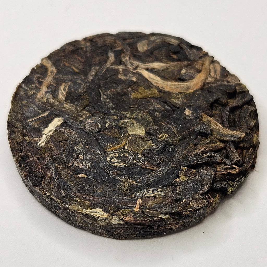 SP-0005_3
