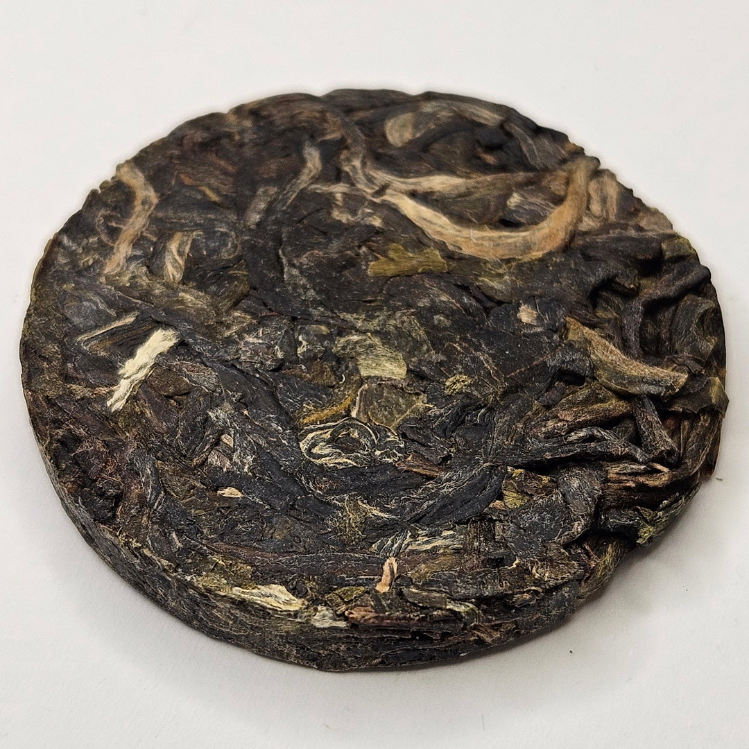 SP-0005_3