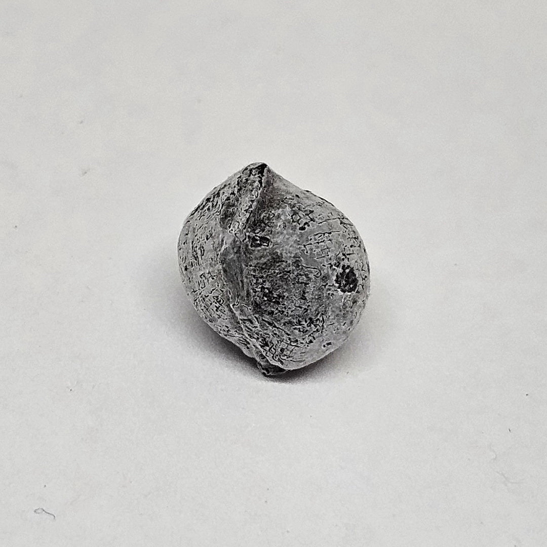 SH-0017_3