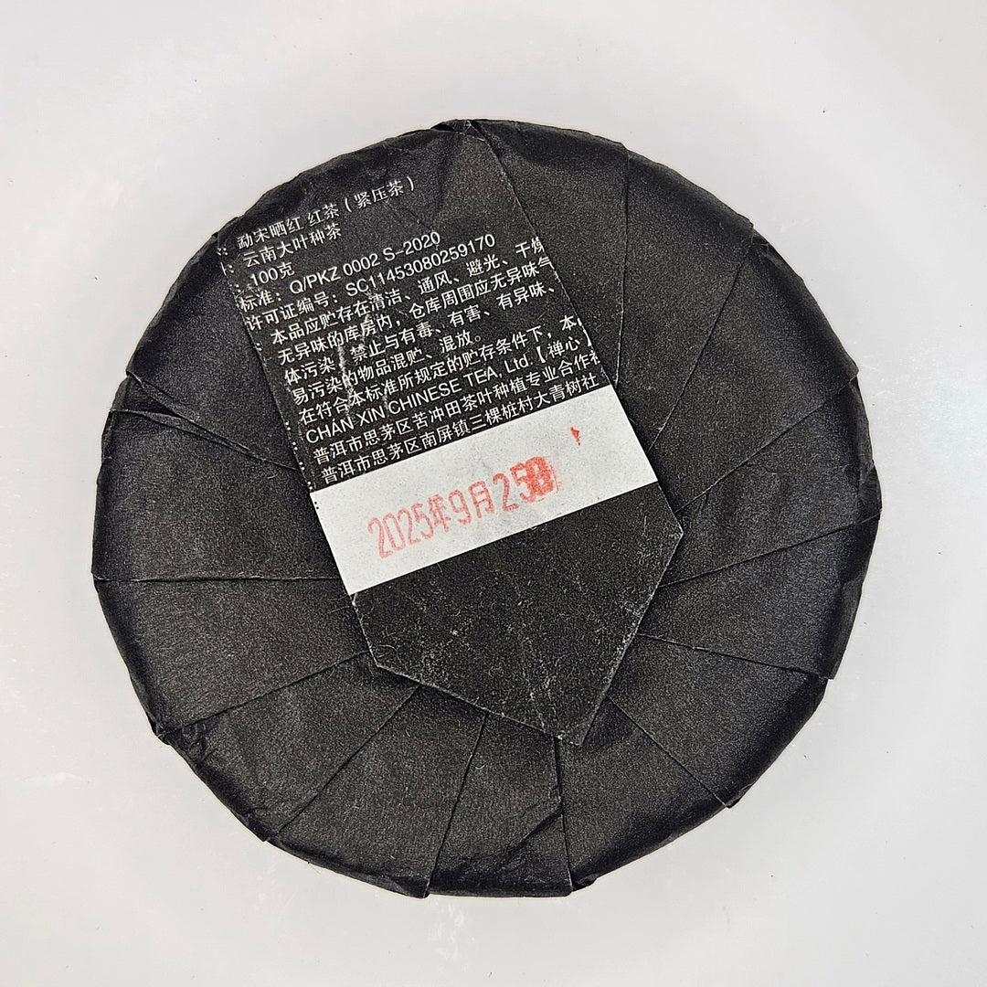 RT-0015_2