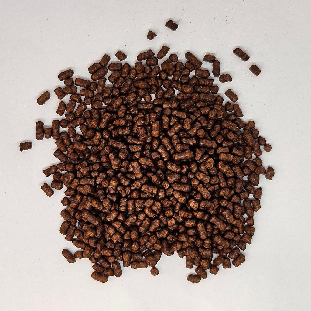 HB-0001_1