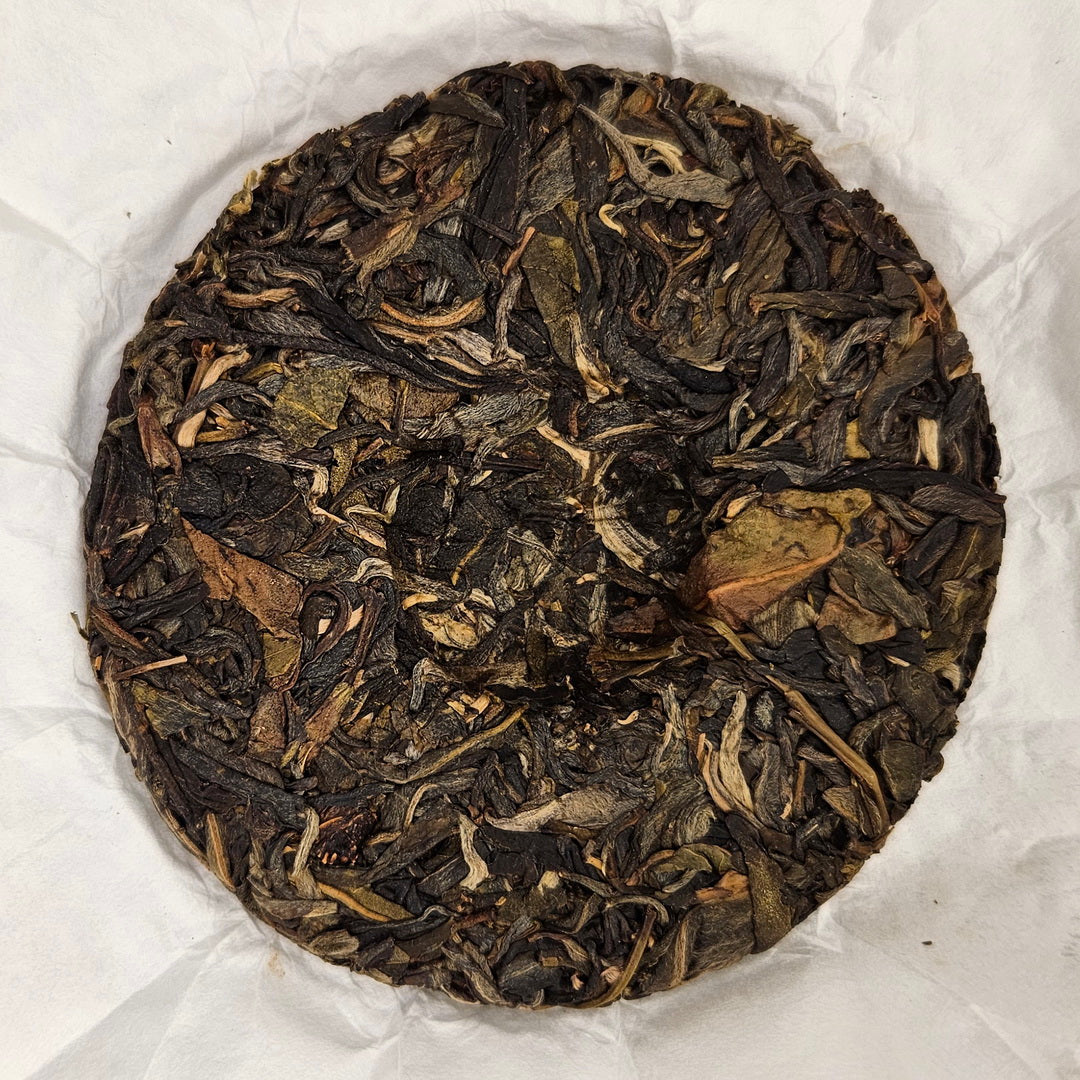 SP-0002_2