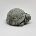 Stone Turtle Tea Pet